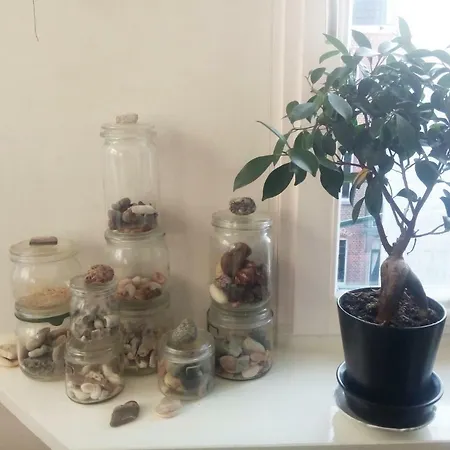Light & Quiet Oasis דירה אמסטרדם