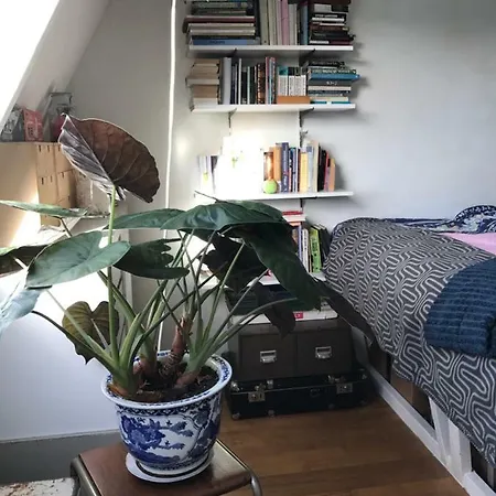 Light & Quiet Oasis דירה